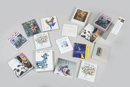 Ein Paket mit etwa fünfundfünfzig Büchern über SAI