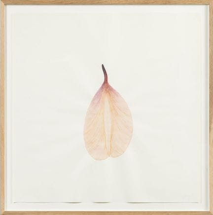 哈维尔·佩雷斯（生于1968年）
《动物植物 III》，2001年
水彩画，纸本
右下角签名并注明日