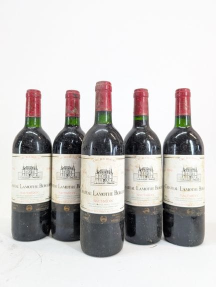 5 bouteilles Château Lamothe Bergeron, Haut-Médoc,