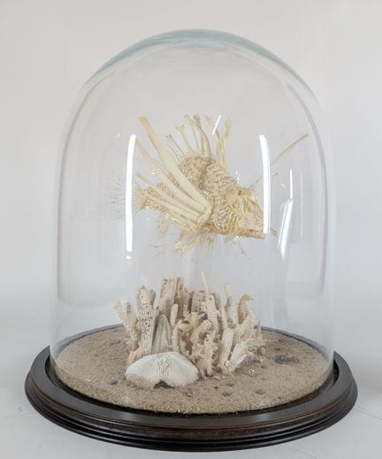 Atelier MEDULLA (XXI)
„Knochenschaden“
2023
Eine k