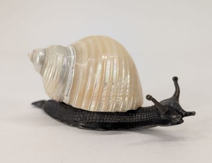 Schule des frühen 20. Jahrhunderts
„Schnecke“
Moti
