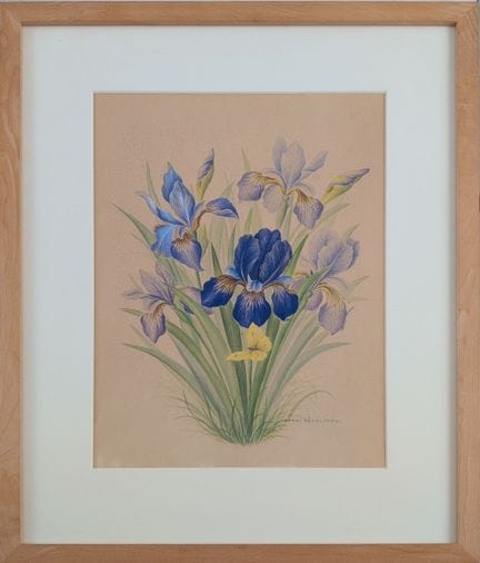 Lotti GÄSSL (20. Jahrhundert)
„Iris“
1943
Aquarell