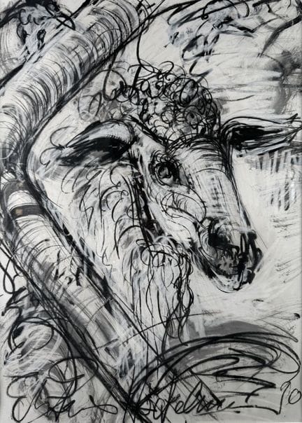 Antonius HÖCKELMANN (1937-2000)
Cabeza de oveja
Té