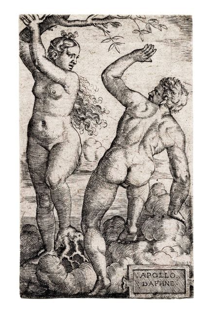 巴特尔·贝哈姆，《阿波罗与达芙妮》。1520-1540年。铜版画。81×49毫米。巴特施，VIII，