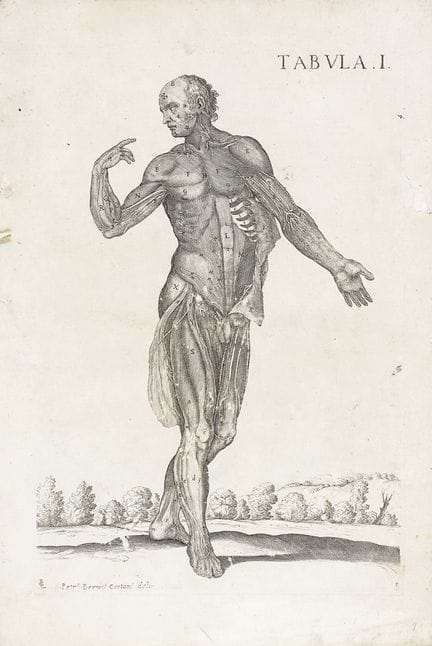 Pietro Berrettini (dit Pietro da Cortona), *Tabula