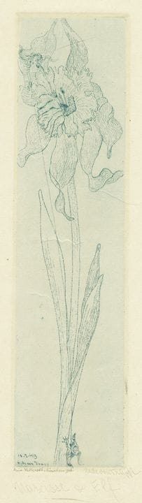 赫德·冯·特拉普，由7幅版画组成的套版。1913年。1) 《贵妇》。1913年。小册子上的原版石版画