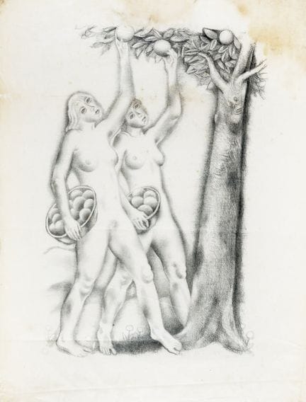 米歇尔·芬格斯滕，《摘苹果的女子》。1933年。Japon纸上的阿尔加菲亚画。505×360毫米。 
