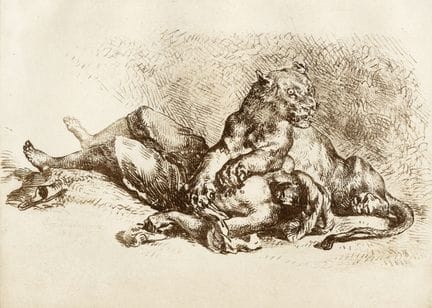 欧仁·德拉克罗瓦，《撕裂阿拉伯人胸膛的母狮》。1849年。软油画颜料绘于贴合的宣纸上。210×275
