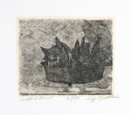 路易吉·巴托利尼，《花蕾篮/逆光龙胆花》。1912年。奶油色底板上的蚀刻版画。170×202毫米。画