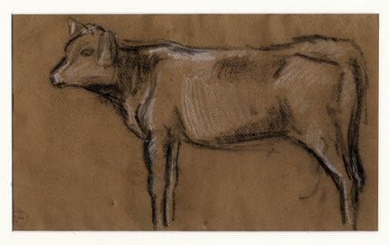 Fusain et craie sur papier brun. 304 x 414 mm. Cac