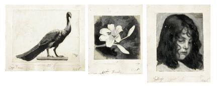 A beautiful collection of 13 tempera and pencil dr