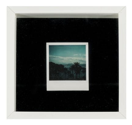 Mario Schifano, Palms. 1990s. Polaroid. 110x80 mm.