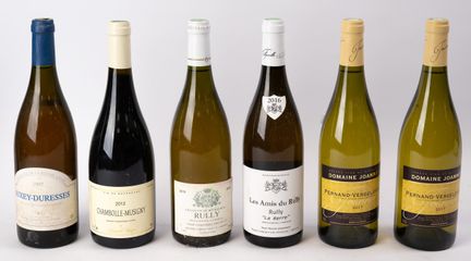 Weißer Burgunder: 
- Pernand-Vergelesses, Domaine 