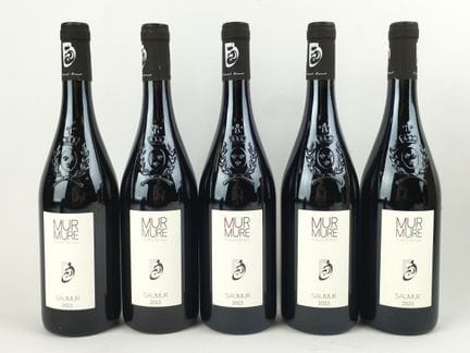 Loire rouge, Saumur Champigny, "Murmure", Domaine 