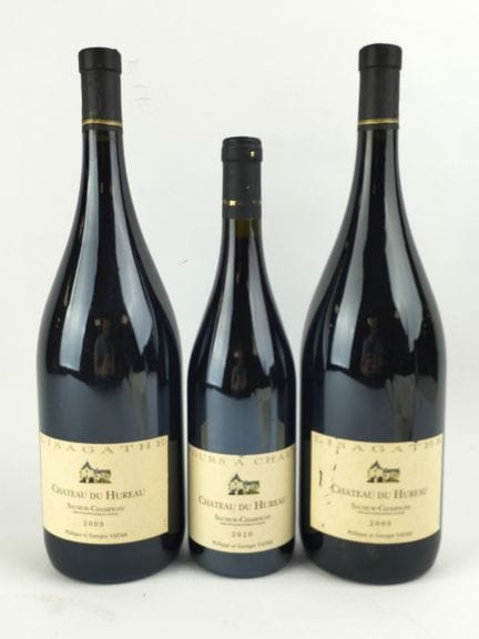 Loire rouge, Saumur Champigny, "Cuvée Lisagathe", 