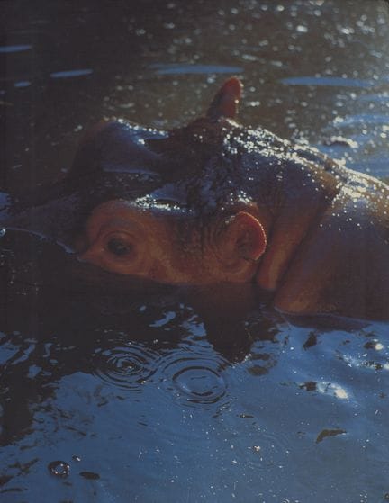 FISCHLI, PETER ET DAVID WEISS : *Monde visible*. L