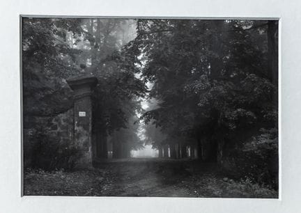 约瑟夫·苏德克（Josef SUDEK，1896-1976）。
《林间拱门》。
精美的银盐相纸印品，