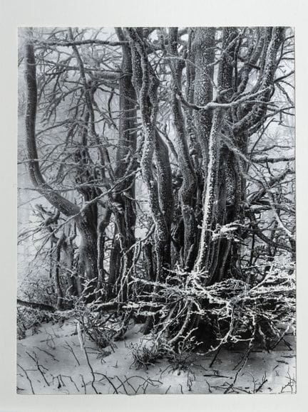 鲁道夫·扬达（Rudolf JANDA，1907-2000）。
《冬天》。
精美的同期银盐相纸印品，