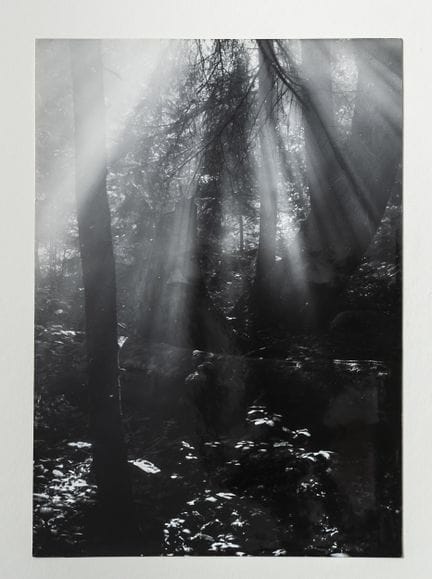 鲁道夫·扬达（Rudolf JANDA，1907-2000）。
《清晨的森林》。
精美的同期银盐相纸