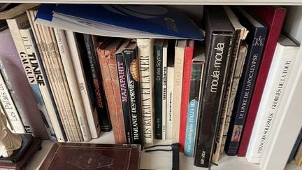 Manette: Numerosos libros de arte y viajes diverso