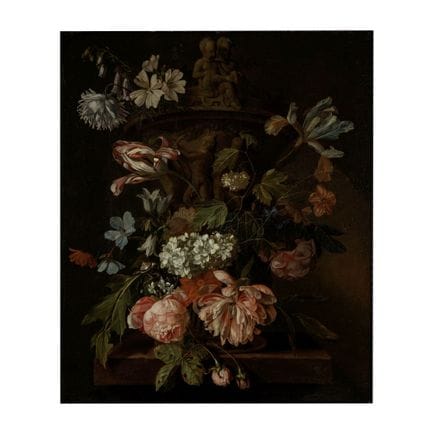 Willem Grasdorp (Zwolle 1678-1723 Amsterdam) Rose,
