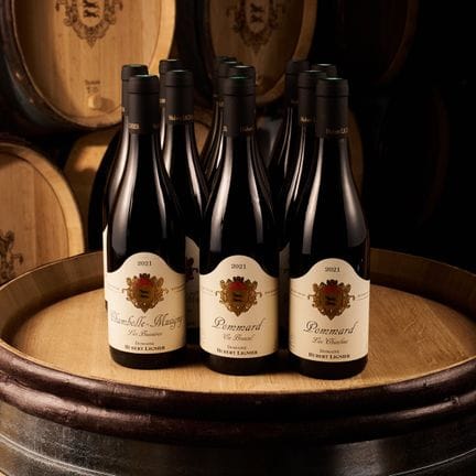 Domaine Hubert Lignier, Chambolle-Musigny, Les Bus