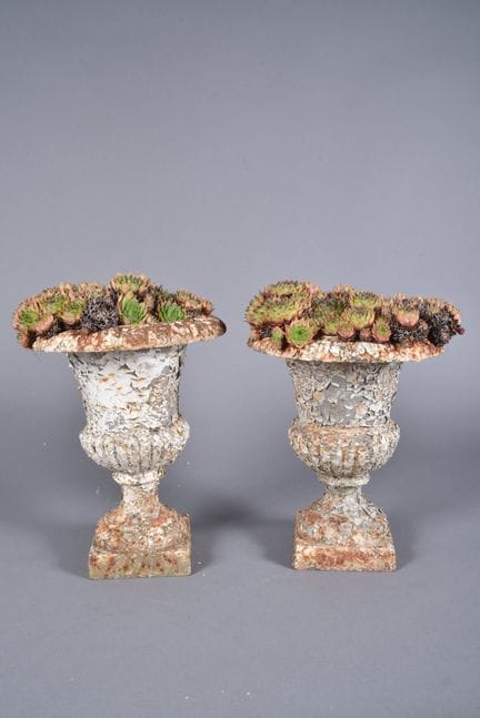 Deux petits vases Médicis sur piédouche à décor de