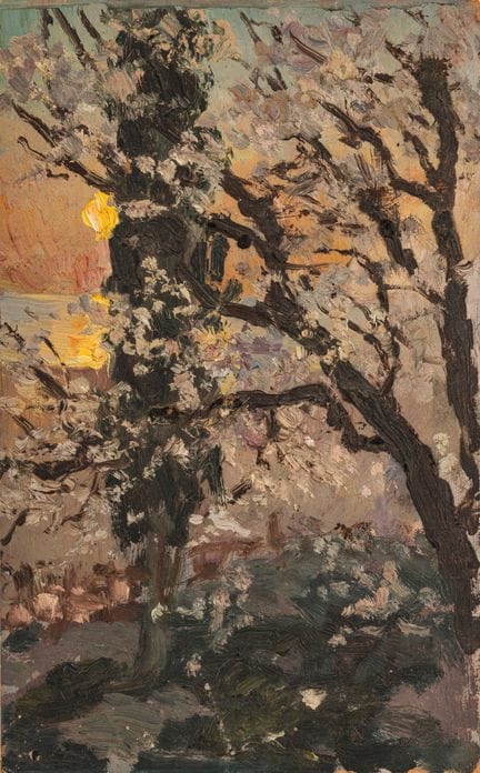 Odoardo Toscani (Rome, 1859 - Smyrne, 1914)  - Cou