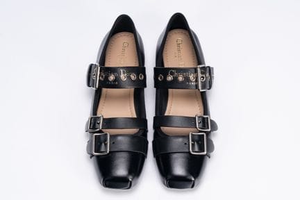 Christian Dior - Dior Punk Ballerinas


Black leat