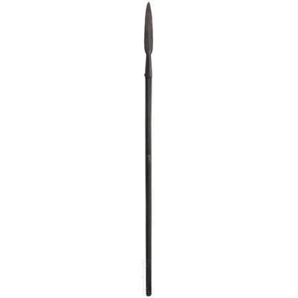 Une lance à ours allemande, circa 1600  
Lame en f