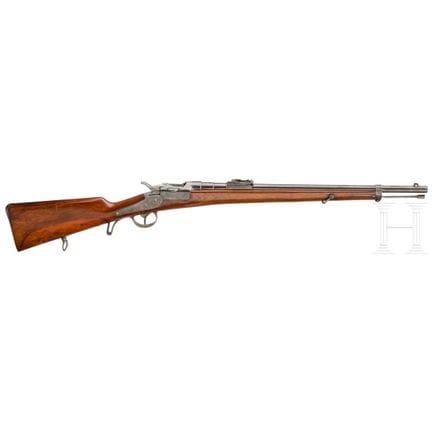 Fusil OEWG «Extra Korps» M 1873/77  
Calibre 11x36