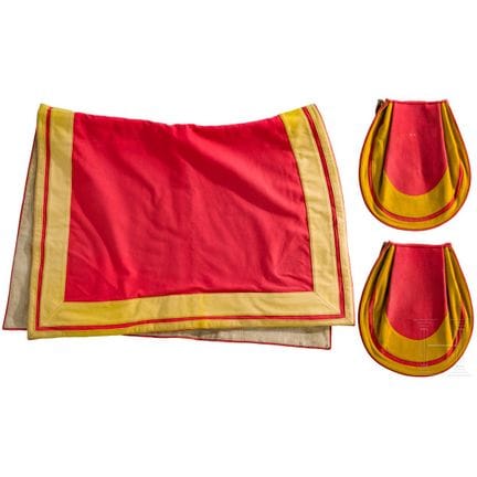 A pair of holster clothes and a horse blanket for 