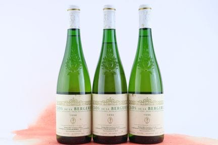 Clos de la Bergerie Château de la Roche-Aux-Moines
