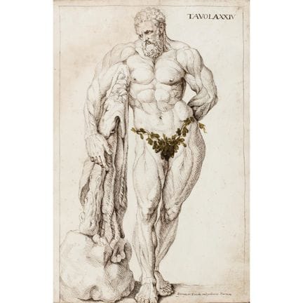Fancelli, Marco Serafino. Anatomy. Recanati, 1730.