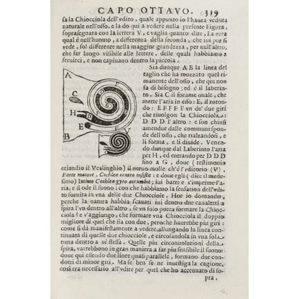 Bartoli, Daniello. On Sound, Harmonic Vibrations, 