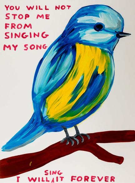 DAVID SHRIGLEY (Macclesfield, Inghilterra, 1968).
