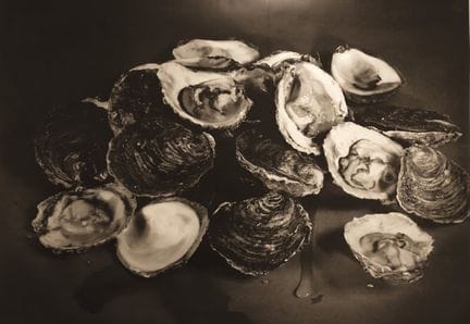 HANNAH COLLINS (Londra, 1956).

“Sex 1”, 1991.

St