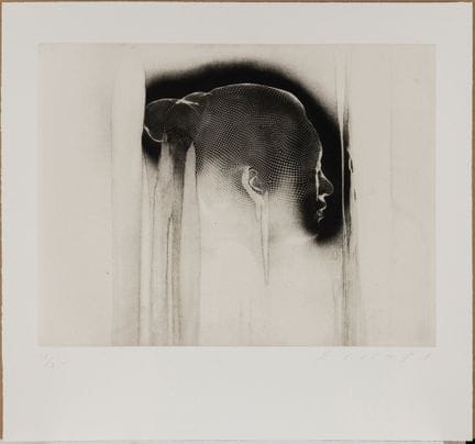 JAUME PLENSA (Barcellona, 1955).

“Reflections VI”