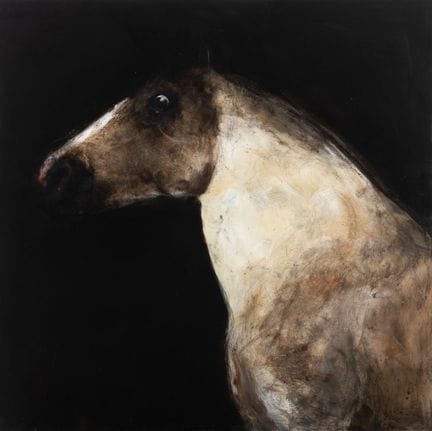 MIGUEL MACAYA (Santander, 1964).

“Cavallo”, 2005.