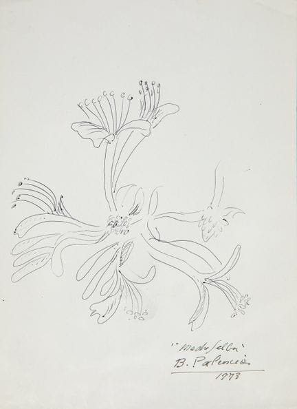 本哈明·帕伦西亚（巴拉克斯，阿尔巴塞特，1894年—马德里，1980年）。

《Madreselva