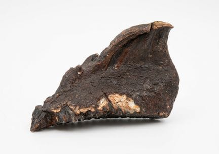 Mammoth premolar.

10000 years old.

Measurements: