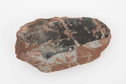Oviraptor dinosaur egg.

60 million years old.

Me