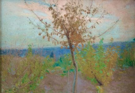 塞拉菲诺·马基亚蒂 1861-1916 《盛开的樱桃树》——纸板油画。24.00 × 33.00 厘