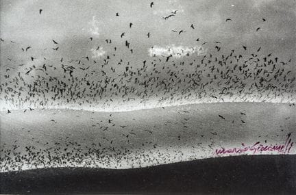 MARIO GIACOMELLI  1925–2000 Untitled   - Black-and