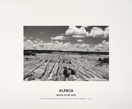 HAMISH FULTON  1902–1966 Alpaca  1981  - Silver ge
