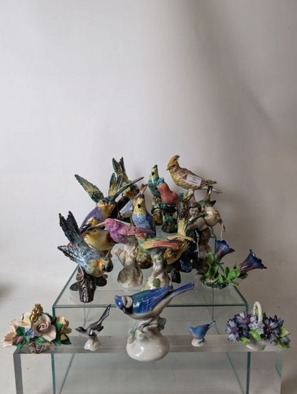 Ricco assortimento di vari uccelli, mazzi di fiori