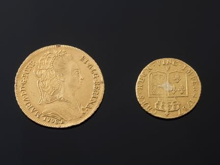 Une pièce Louis d'or au buste nu, en or 917 milliè