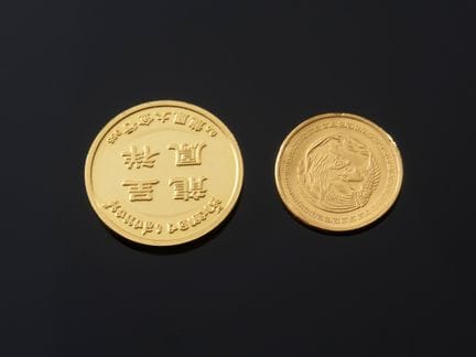 Deux pièces asiatiques en or à figures de dragon e