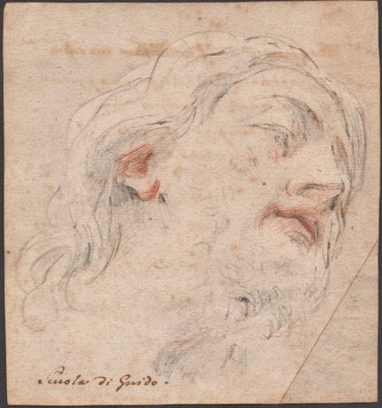 Guido Reni (school of) Study for a Male Head

Penc