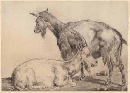 Francesco Londonio (attributed to) Two goats

Penc